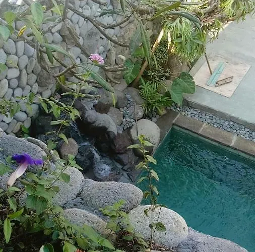 Pensión Melati Bali 2